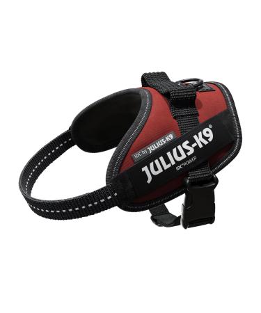 IDC Powerharness Size: XS/Mini-Mini Bordeaux-Brown Bordeaux-Brown XS/Mini-Mini