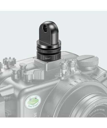 Seafrogs Diving Cold Shoe Adapter YS Head Dual Nut Screw Stand - Aluminum Camera Hot Shoe Mount for Flashlight & Camera Lighting System - Accessory Mount Adapter for LED Video Light & Microphone YB-2 - Buy Online on SooperMarket.com