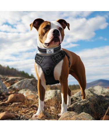 Joytale Softly Padded Neoprene Dog Collar for Medium Dogs - Reflective Nylon Wide Collar Black (1 Pack) - Buy Online on SooperMarket.com