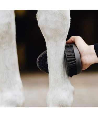 Animalon Careeflex Kard tsche | Ergonomic & Flexible Horse Brush with Velcro Fastener | Essential Cleaning Tool for Horse Care Accessories - Buy Online on SooperMarket.com