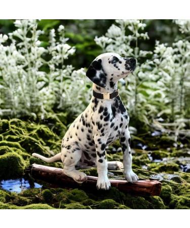 YUDOTE Ultra-Soft Natural Cotton Dog Collar for Medium Dogs with Sensitive Skin - Black M (1 Pack) - Ideal for Sensitive Pups - Buy Online on SooperMarket.com