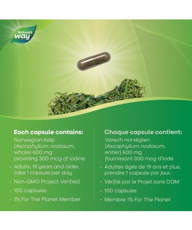 Nature's Way Kelp Thyroid Support 100 Vegetarian Capsules 100 count (Pack of 1) - Buy Online on SooperMarket.com