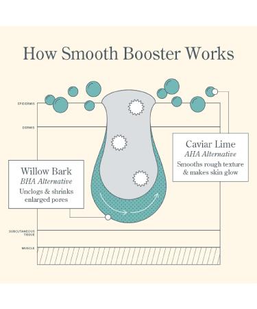 Beekman 1802 Smooth Booster Willow Bark Exfoliating Face Serum - Fragrance-Free Vegan & Cruelty-Free for Bumpy Skin - Buy Online on SooperMarket.com