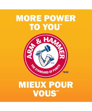 ARM & HAMMER Baking Soda For Cleaning and Deodorizing 4.89-kg Resealable Bag 4.9 kg (Pack of 1) - Buy Online on SooperMarket.com