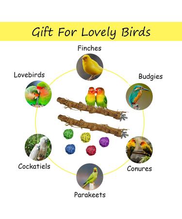 Natural Bamboo Bird Perch Stand Set for Budgies, Lovebirds, and Medium Parrots - 2PCS - Buy Online on SooperMarket.com