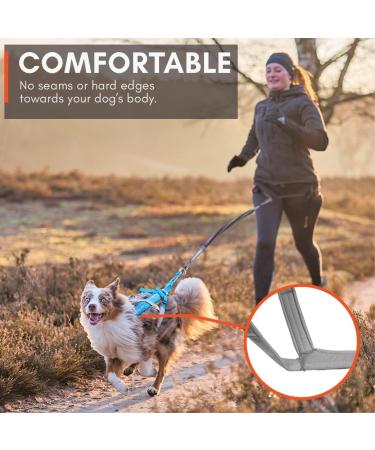 Non-stop Dogwear Freemotion Harness 5.0 | Versatile Dog Harness for All Sports | Size 8 Black/Orange - Shop Internationally - Buy Online on SooperMarket.com