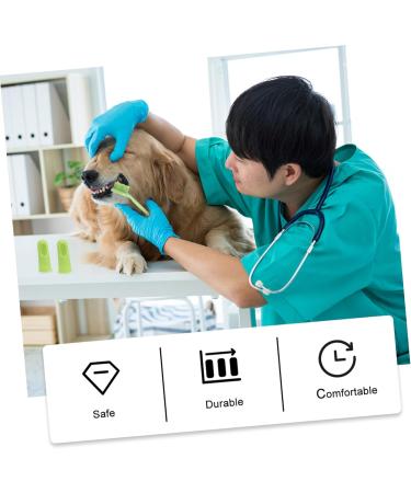 ORFOFE 1 Set Pet Toothbrush Kitten Toothbrushes Dog Toothbrush for Small Dogs Dog Toothpaste Pets Pp Green - Buy Online on SooperMarket.com
