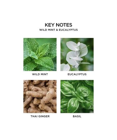 NEST Fragrances Wild Mint & Eucalyptus Body Wash - 10 fl oz - Buy Online on SooperMarket.com