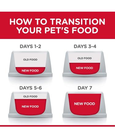 Hill's Science Diet Adult Chicken Recipe Dry Cat Food 7 lb - Pack of 1 - Buy Online on SooperMarket.com