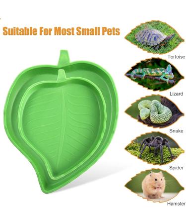 2Pcs Tortoise Water Bowls Reptile Feeding Dish Leaf Shape Reptile Food Water Bowl Feeding and Water Dish Reptile Accessories Tortoise Water Dish Tortoise Cage Accessories - Buy Online on SooperMarket.com
