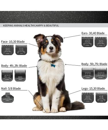 Replacement Knife for Dog Care | Compatible with Heiniger Moser Max45 Andis & Wahl A5 | 3F 1/2 inch (13 mm) 2 Pieces Black - Buy Online on SooperMarket.com