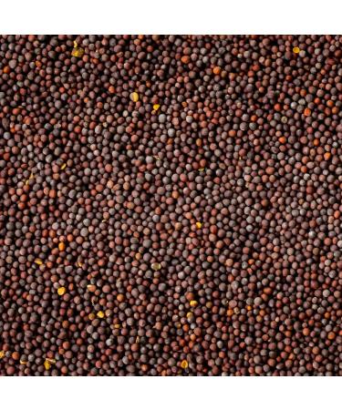Organic Mustard Seeds 200g