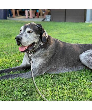 XiaZ Dog Runner Tie Out Cable for Dogs Up to 250lbs - 50ft Lead Line for Yard, Camping, Park - Silver - Buy Online on SooperMarket.com