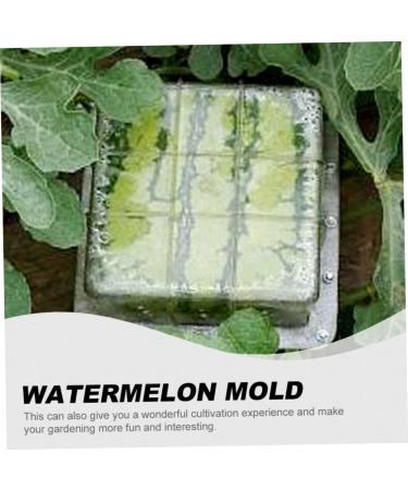 Uonlytech Watermelon Shaping Fruit Tools Pumpkin Growing Molds for Garden Vegetable Shaping Tool Watermelon Modeling Big Rod 15x15cm Transparent - Buy Online on SooperMarket.com