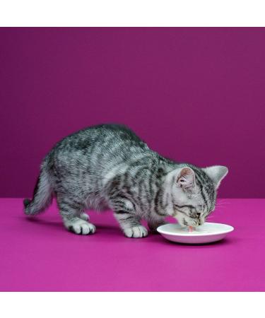 Whiskas Cat Milk for Cats from 6 weeks - Delicious Snack for a Happy Cat - Lactose-free and Easily Digestible - Different Sizes Milk 3 l (Pack of 1) - Buy Online on SooperMarket.com