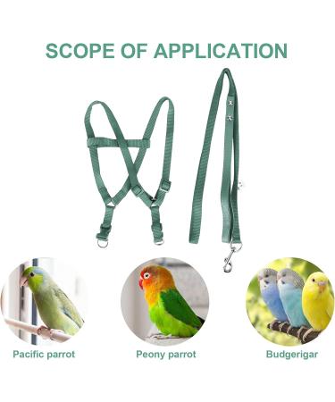 Ruqias Pet Bird Harness Leash for Macaw Cockatoos with Buckle Adorable Rainbow Design Safe Parrot Leash Pet Harness Outdoor Adjustable Anti Bite Training Rope for Macaw Large Size Bird L Green - Buy Online on SooperMarket.com