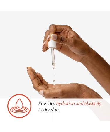 Camellia Seed Oil Serum 20ml - Nourishing & Moisturizing | International Shipping Available - Buy Online on SooperMarket.com