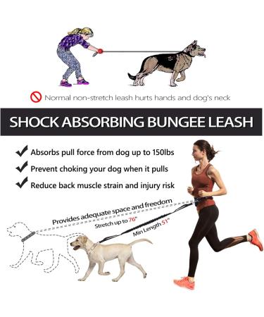 Pet Room Jogging Leash for Dogs - Elastic & Reflective Running Leash with Hip Belt for Large & Medium Dogs - Perfect for Running Jogging & Hiking - Buy Online on SooperMarket.com