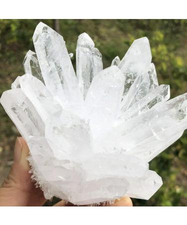 Natural Transparent White Quartz Crystal Cluster Specimen Reiki Stone kaixun (Size : 400-450g) - Buy Online on SooperMarket.com