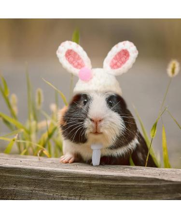 Xuniea Mini Hand Knitted Hat - Pet Costume Accessories for Small Animals - Buy Online on SooperMarket.com