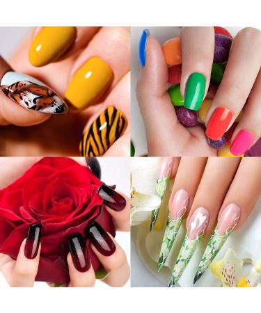 ANGENIL 5 Pcs Acrylic Nail Art Brushes & Dotting Pen Set for DIY Manicure | Nail Art Tools for Drawing, Painting, and Point Drill Designs - Buy Online on SooperMarket.com