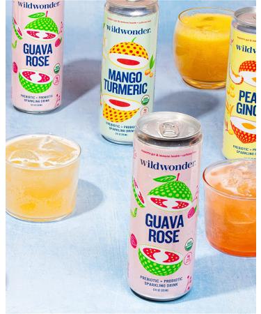 Wildwonder Sparkling Probiotic Juice 6pk Variety Pack - Gut Health & Immunity Support with Live Probiotics, Fiber, Organic & Low Sugar - Vegan & Caffeine Free - Buy Online on SooperMarket.com