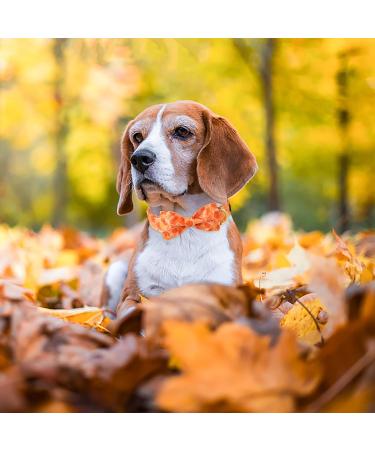 Shop Aring Pet Autumn Dog Halison - Cute Yellow Hall Band for Small Dogs | Adjustable Cotton with Metal Buckle - Perfect for Fall! - Buy Online on SooperMarket.com