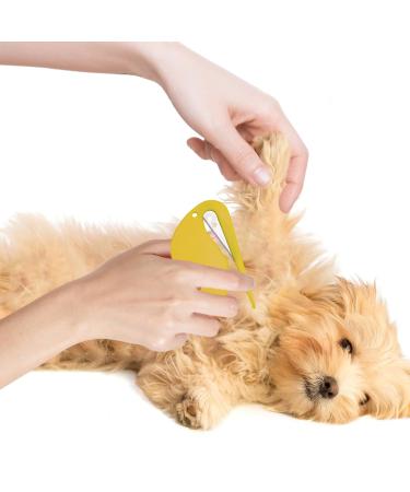 Best PET Knotting Comb Set - De-Filtering Tool with Steel Blade for Dogs & Cats - 5 PCs for Gentle Undercoat Removal - Buy Online on SooperMarket.com