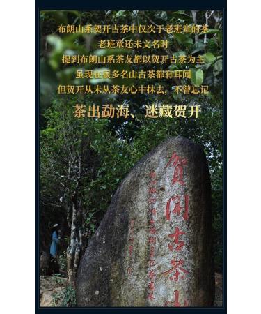 Pu-erh tea 2020 SHENG JIA YUAN He Kai 357g Raw - Buy Online on SooperMarket.com