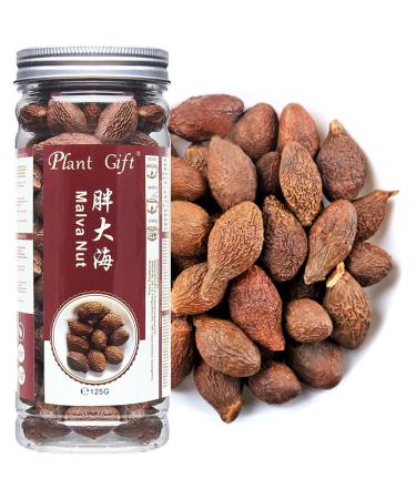 PlantGift Malva Nut 125G/4.4oz Dried Sterculia Lychnophora Dried Pangdahai Chinese Health Tea