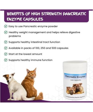 Pancreatic Digestive Enzyme Capsules for Dogs & Cats - Amylase and Lipase Health Supplement for Dog & Cat | 100 Capsules - Buy Online on SooperMarket.com