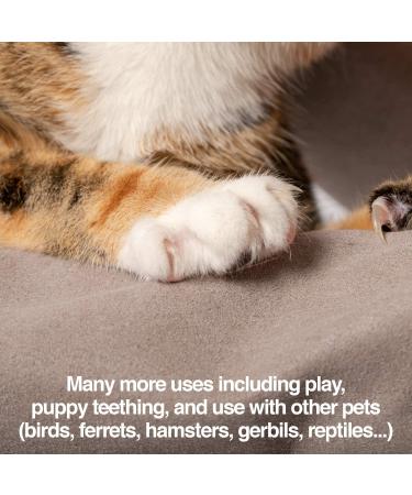 PetFusion Multipurpose Pet Glove for Grooming, Vet Trips & Handling - Medium, Grey - Buy Online on SooperMarket.com
