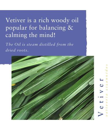 Absolute Aromas Vetiver Essential Oil 30ml - 100% Pure & Natural for Diffusers, Aromatherapy - Vegan & Cruelty-Free - Buy Online on SooperMarket.com