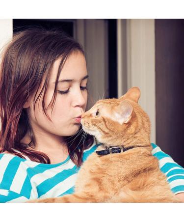Handmade Leather Cat Neck Straps with Bells - Adjustable Durable 8-Piece Set for Small Pets | Perfect for Indoor & Outdoor Use - Buy Online on SooperMarket.com