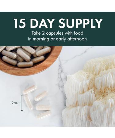 Host Defense Lions Mane Mushroom Supplement for Brain Health 30 Mushroom Capsules| 1000mg Lion's Mane Powder per Serving |Mushroom Supplements for Brain & Nervous System Support | Mushroom Powder Extract Pills Host Defense Mushrooms| Lion's Mane Pills - Buy Online on SooperMarket.com