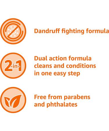 Amazon Basics 2-in-1 Dandruff Shampoo & Conditioner, Green Apple Scent - 14.2 Fl Oz (Pack of 1) - Buy Online on SooperMarket.com