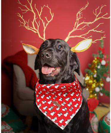 Shop Lionheart Glory Dog Haller 1 Packer Washable Soft Cotton Christmas Neckerchief - Adjustable Red Kerchief for Small Dogs | Perfect Holiday Accessory - Buy Online on SooperMarket.com