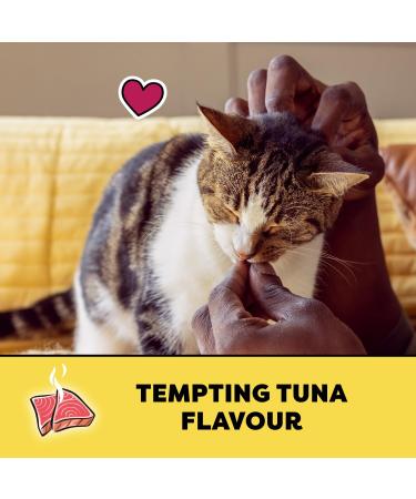 TEMPTATIONS Adult Cat Treats Tempting Tuna Flavour 454g Tub Cat Treats Tuna 454 g (Pack of 1) - Buy Online on SooperMarket.com