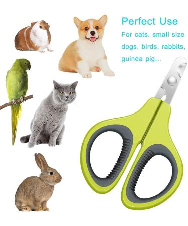 Alinana Cat Nail Clippers - Cat Nail mit Sharp Stainless Steel Blades Non-Slip Handle Professional Cat Claw Clipper for Small Pet Kitten and Rabbit Straight Blade - Buy Online on SooperMarket.com