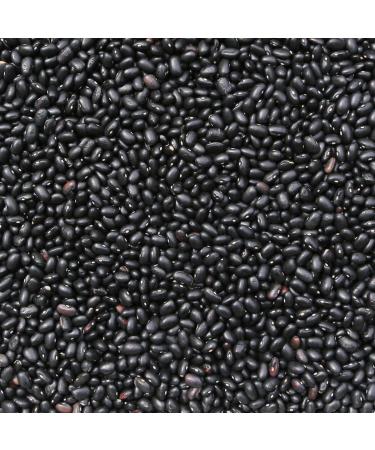Wholefood Earth Black Beans 1 kg | GMO Free | Natural | High Fibre | High Protein 1kg - Buy Online on SooperMarket.com