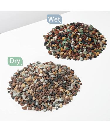 Succulent Cactus Bonsai Gritty Mix Stones (2 LB)  Small Decorative Horticultural Gravel Rocks for Aquarium  Terrariums  Fairy Garden  Top Dressing  Soil Additive for Potted Houseplants 2 LB Bonsai Gritty Mix Stones - Buy Online on SooperMarket.com
