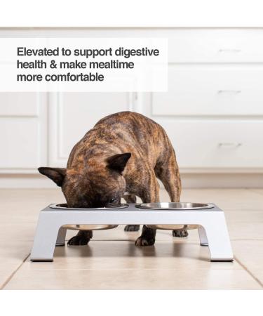 PetFusion Elevated Dog and Cat Bowls - Premium Anodized Aluminum Feeder with US Food Grade Stainless Steel Raised Bowls (Short 4 Metallic Gray) - Buy Online on SooperMarket.com
