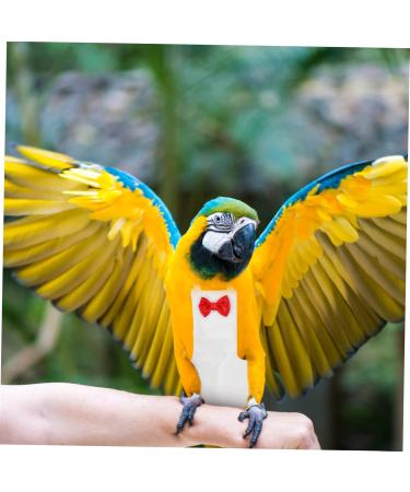 Buy PopetPop Flying Bird Diapers - Stylish Sittich-Outfit Bowknots for Parrots & Pigeons | High-Quality Cotton Bird Clothing 22x12cm - Buy Online on SooperMarket.com