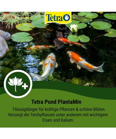 Tetra Pond PlantaMin - Pond Plant Fertilizer for Healthy Growth | 500 ml Bottle - Buy Online on SooperMarket.com