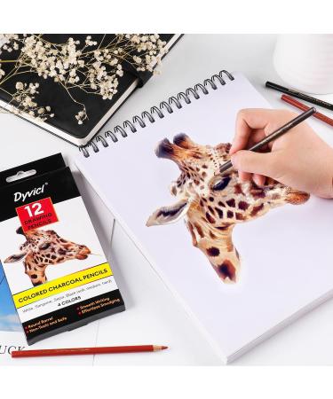 Dyvicl Charcoal Pencils Drawing Set - 12 Pieces for Drawing, Sketching, Shading, Blending - Ideal for Beginners and Artists - Buy Online on SooperMarket.com