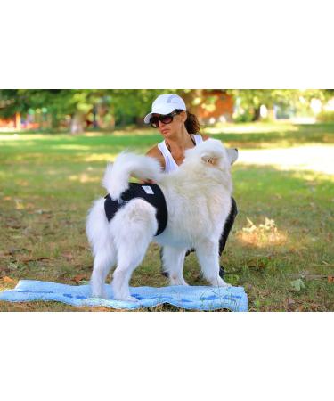 Buy High-Quality Financial Trousers for Dogs 2.0 - Premium Neoprene Diapers for Males - Optimal Airflow No Rod Threading - Large Blue - Buy Online on SooperMarket.com