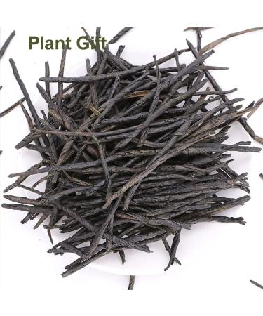 Buy Chinese Needle Ku Ding Tea - 100G Bitter Green Tea | Premium Loose Leaf for Health - Buy Online on SooperMarket.com