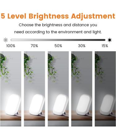 LASTAR Sun Light 10 000 LUX UV-Free Daylight Lamp with Memory Function 5 Adjustable Brightness Levels and 4 Timer Funtion Sunlight Lamp Compact Size for Winter Blues Wall Mountable Support Smart Plug Light White - Buy Online on SooperMarket.com