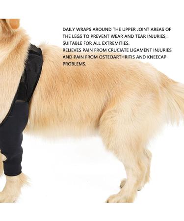 Dog Knee Brace Adjustable Dog Rear Leg Brace Soft Breathable Dog Knee Support Brace for Elderly Disabled Injured Dogs Both Back and Front Legs (M) - Buy Online on SooperMarket.com
