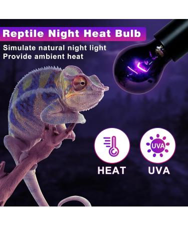 LUCKY HERP Reptile Night Heat Bulb 50W Night Heat Lamp Bulbs for Reptiles 2 Pack Reptiles & Amphibians Basking Spot Light Bulb for Bearded Dragon Lizard Snake Turtle Chameleon - Buy Online on SooperMarket.com